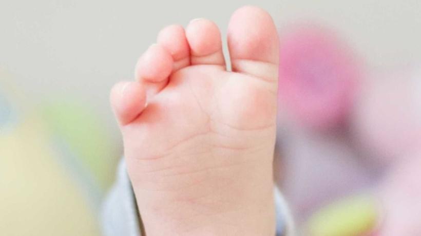 Studio Notícias | Studio TV Bebê morre após ser picado por escorpião no Paraná