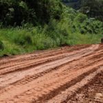 Studio Notícias | Studio TV Prefeitura de Vila Flores realiza manutenção na ERS 437 que liga a cidade a Antônio Prado
