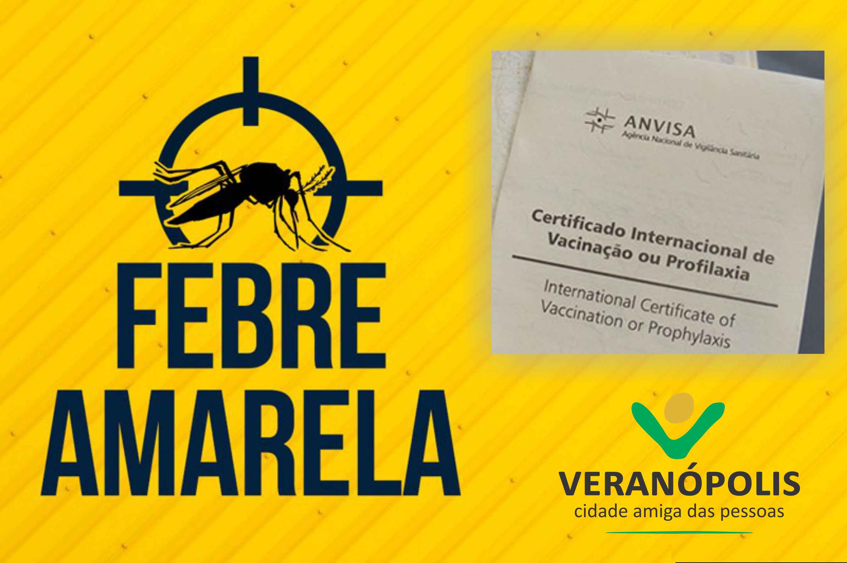 Studio Notícias | Studio TV Veranópolis passa a emitir Certificado Internacional de Vacinação de Febre Amarela