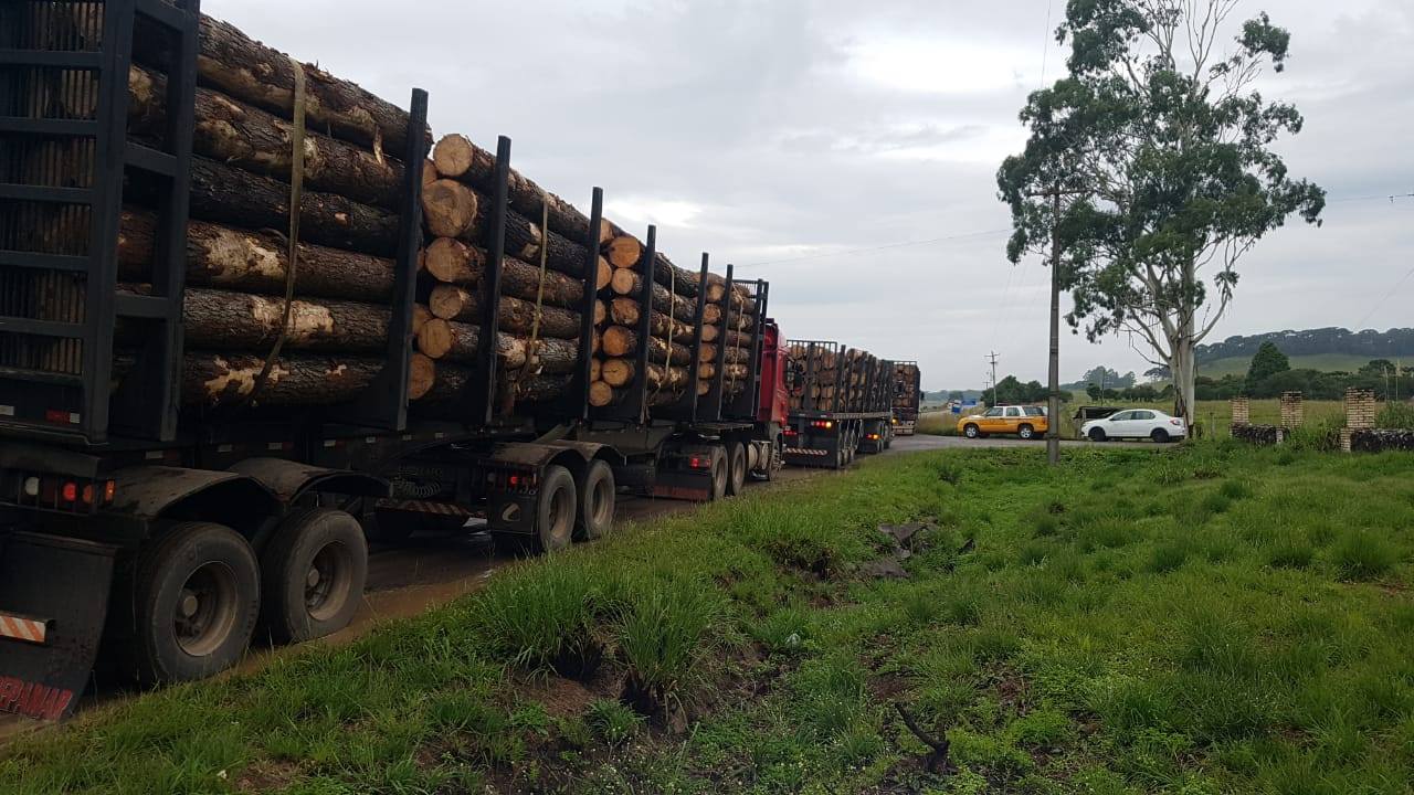 3ºBRBM realiza operação para fiscalizar caminhões com excesso de peso em São Francisco de Paula 1 Studio Notícias | Studio TV 3ºBRBM realiza operação para fiscalizar caminhões com excesso de peso em São Francisco de Paula