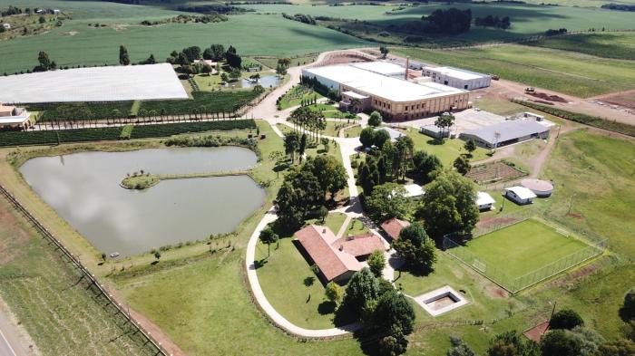 Studio Notícias | Studio TV RS terá nova vinícola com museu do vinho e investimento de R$ 30 milhões em Vacaria