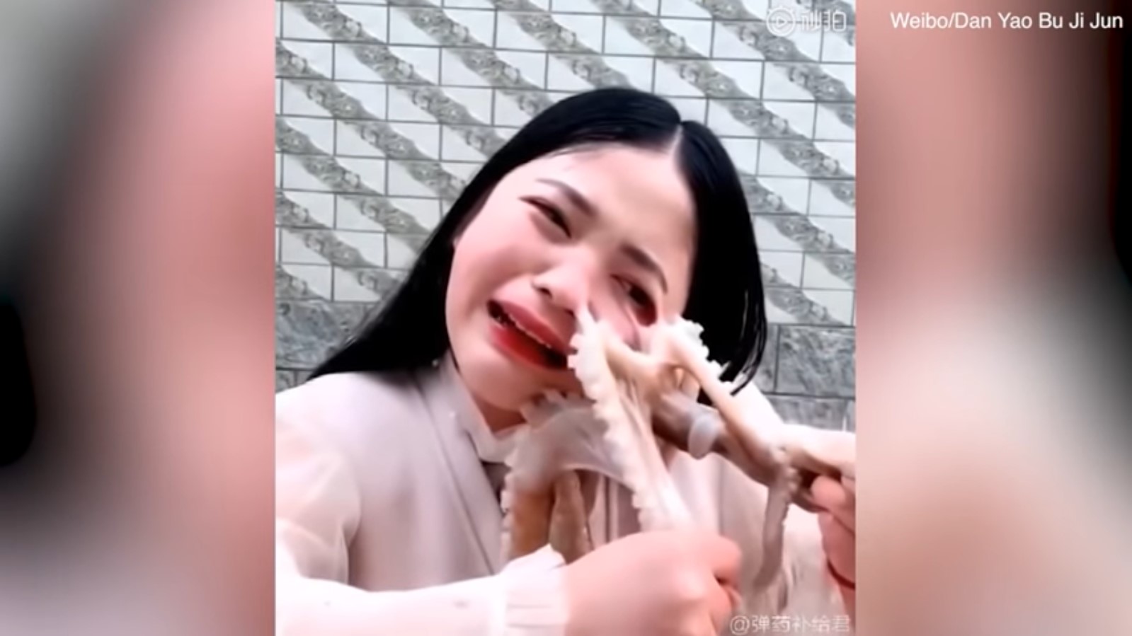 Studio Notícias | Studio TV Assista | Chinesa é atacada por polvo enquanto tentava comê-lo em vídeo ao vivo na internet