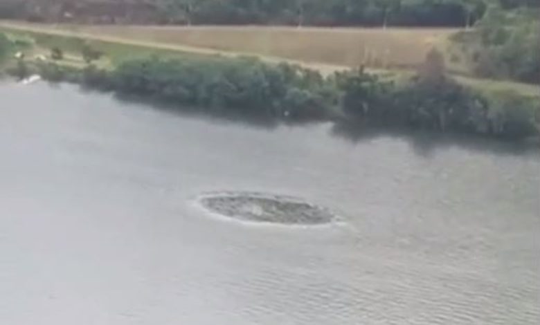 Studio Notícias | Studio TV Vídeo: Círculo misterioso se forma no leito do rio Uruguai próximo ao porto do Goio-Ên