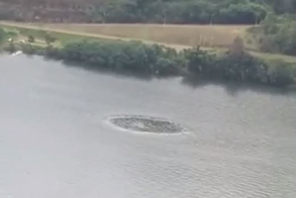 Vídeo: Círculo misterioso se forma no leito do rio Uruguai próximo ao porto do Goio-Ên 1 Studio Notícias | Studio TV Vídeo: Círculo misterioso se forma no leito do rio Uruguai próximo ao porto do Goio-Ên