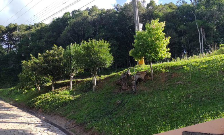 Studio Notícias | Studio TV Moradores do bairro São Peregrino, em Veranópolis, relatam falta de energia