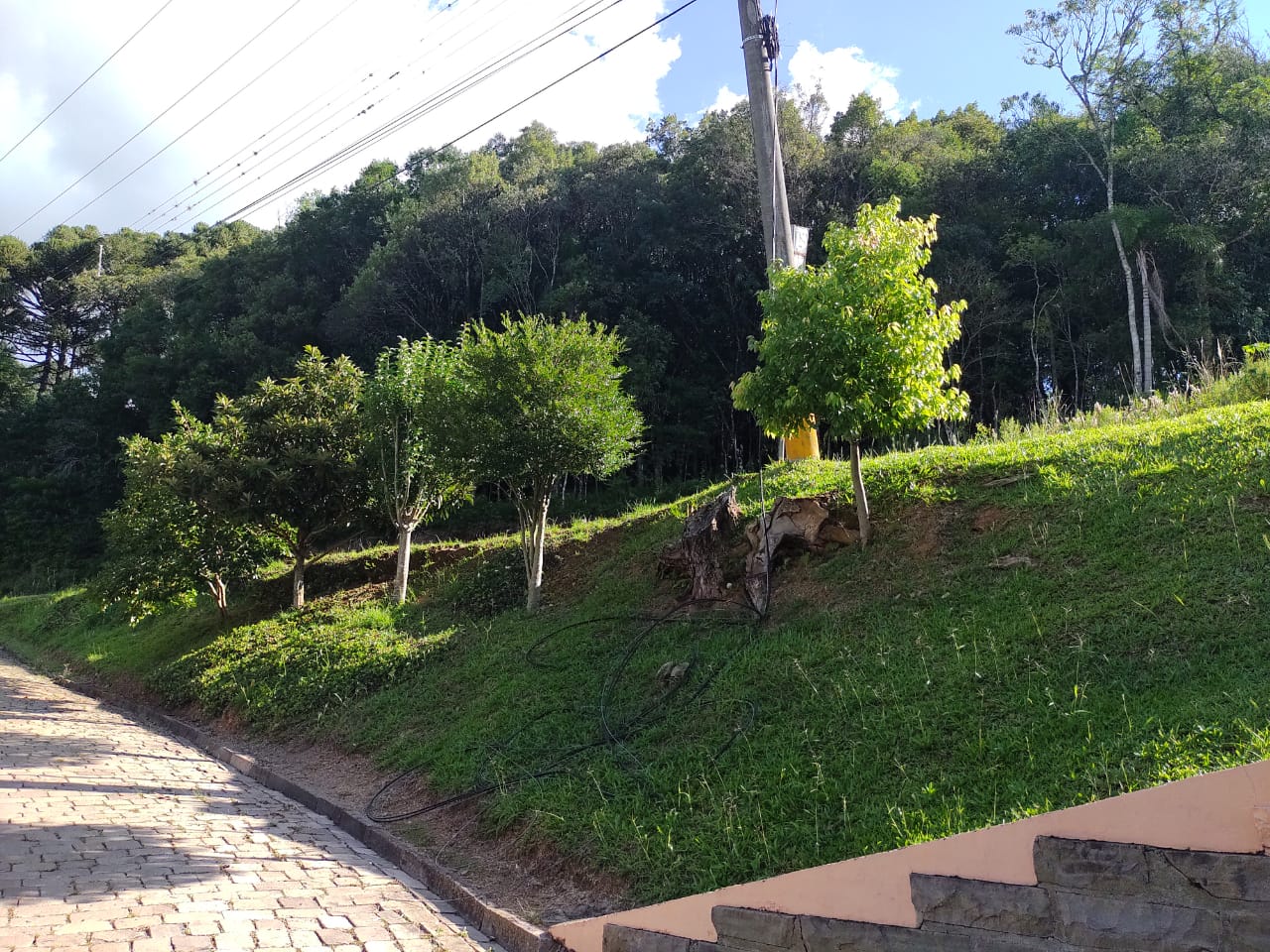 Moradores do bairro São Peregrino, em Veranópolis, relatam falta de energia 1 Studio Notícias | Studio TV Moradores do bairro São Peregrino, em Veranópolis, relatam falta de energia