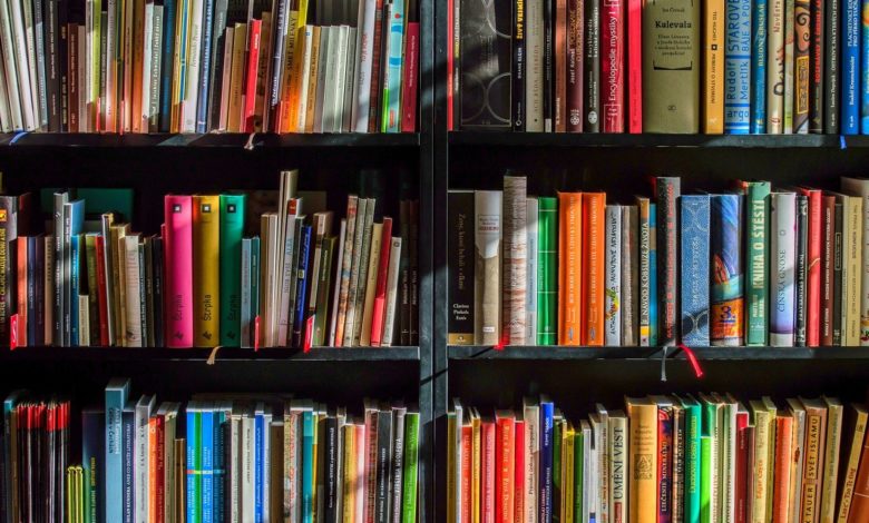 Studio Notícias | Studio TV Veranópolis comemora a semana estadual do livro