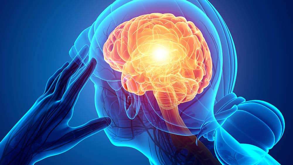 Medicamento experimental contra Alzheimer tem resultados 'históricos' 1 Studio Notícias | Studio TV Medicamento experimental contra Alzheimer tem resultados 'históricos'