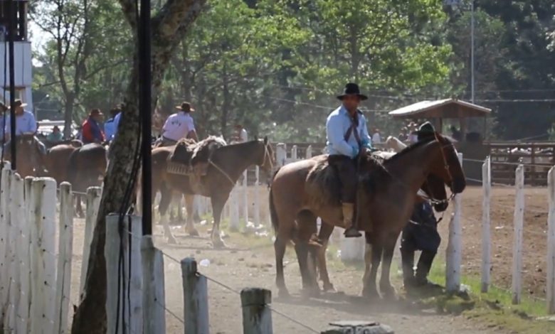 Studio Notícias | Studio TV Programação campeira do 33º Rodeio Crioulo Nacional de Veranópolis inicia nesta quinta-feira