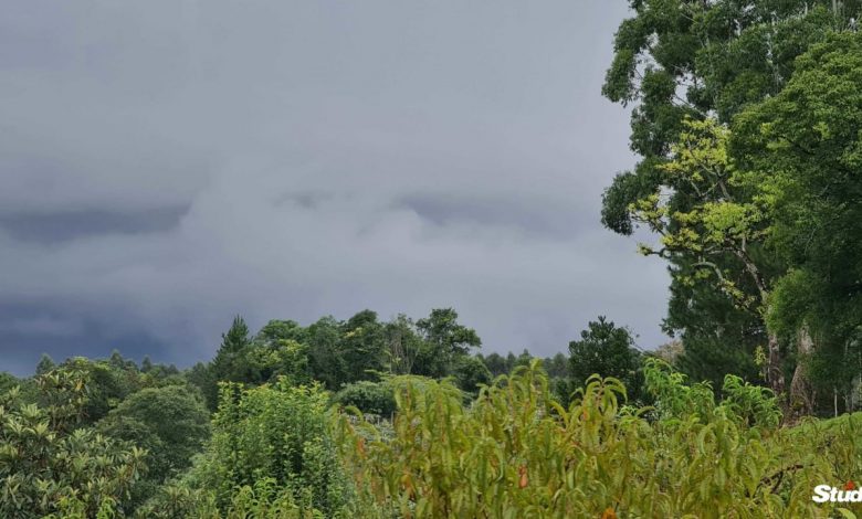 Studio Notícias | Studio TV Chuva retorna ao Rio Grande do Sul após sequência de dias de céu azul, prevê Metsul