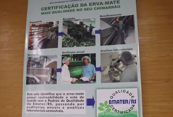 Studio Notícias | Studio TV Emater/RS-Ascar promove processo de qualificação e certificação da erva-mate  
