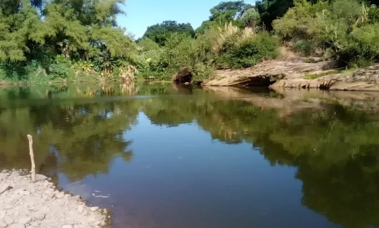 Studio Notícias | Studio TV Duas pessoas morrem no Rio Caí, em Feliz; homem se afoga e idoso tenta resgatar