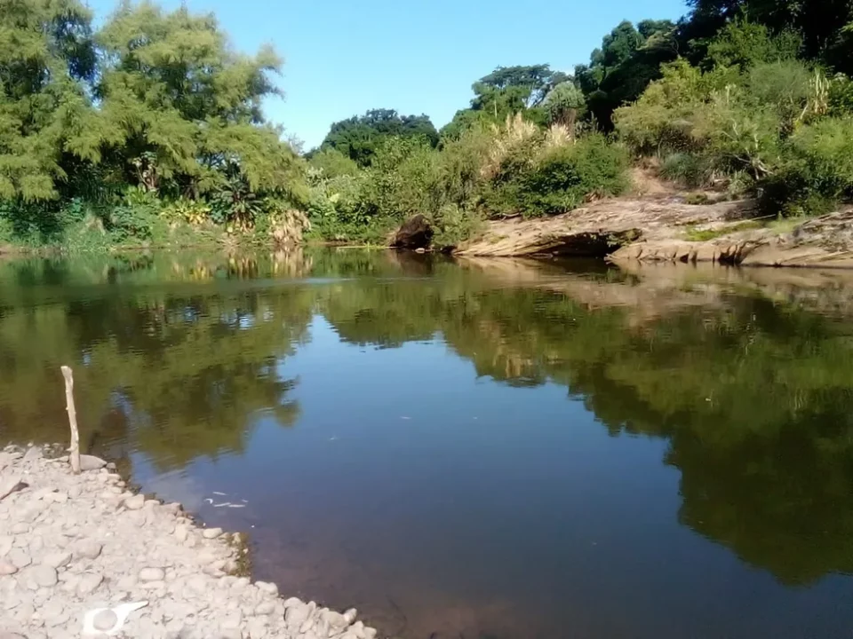 Duas pessoas morrem no Rio Caí, em Feliz; homem se afoga e idoso tenta resgatar 1 Studio Notícias | Studio TV Duas pessoas morrem no Rio Caí, em Feliz; homem se afoga e idoso tenta resgatar