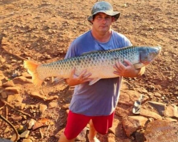 Studio Notícias | Studio TV Pescador pesca peixe de 22 kg em Marcelino Ramos
