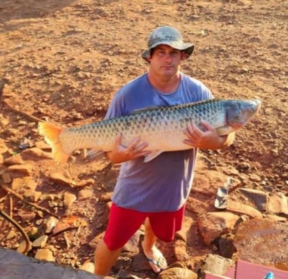 Pescador pesca peixe de 22 kg em Marcelino Ramos 1 Studio Notícias | Studio TV Pescador pesca peixe de 22 kg em Marcelino Ramos