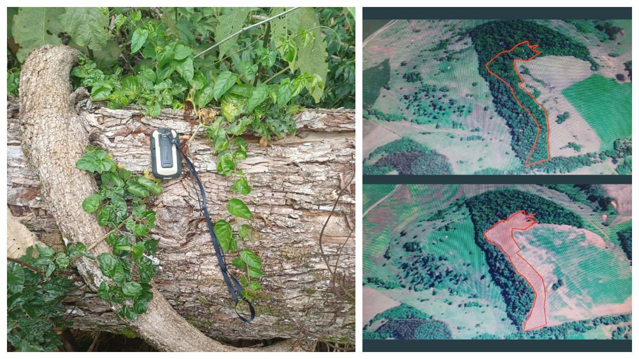 3° Batalhão Ambiental da brigada militar flagra 26 mil metros quadrados de desmatamento em Marcelino Ramos 1 Studio Notícias | Studio TV 3° Batalhão Ambiental da brigada militar flagra 26 mil metros quadrados de desmatamento em Marcelino Ramos