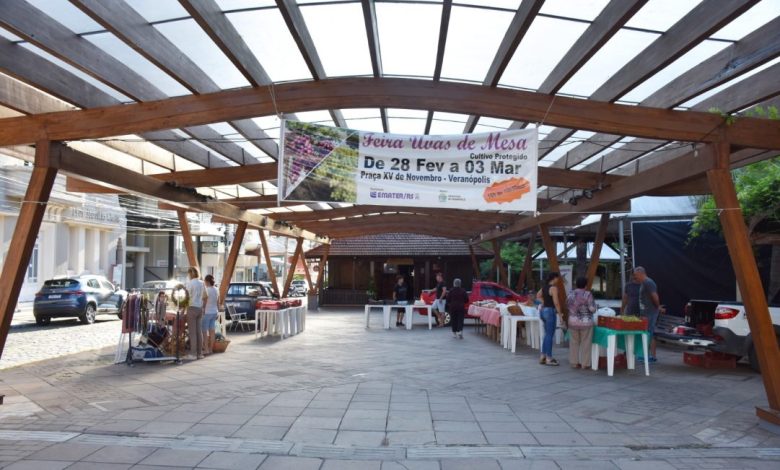 Studio Notícias | Studio TV Feira de Uvas de Mesa - Cultivo Protegido iniciou nesta terça-feira em Veranópolis
