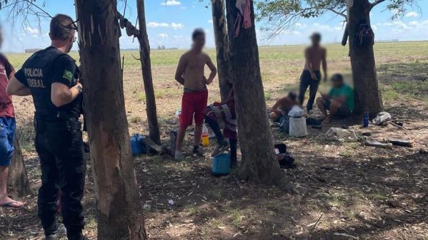 Studio Notícias | Studio TV Atualizado para 82 o número de resgatados em fazendas de arroz em Uruguaiana