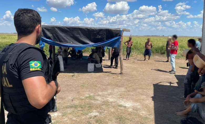 Studio Notícias | Studio TV Operação conjunta resgata 56 pessoas em condições análogas à escravidão em Uruguaiana