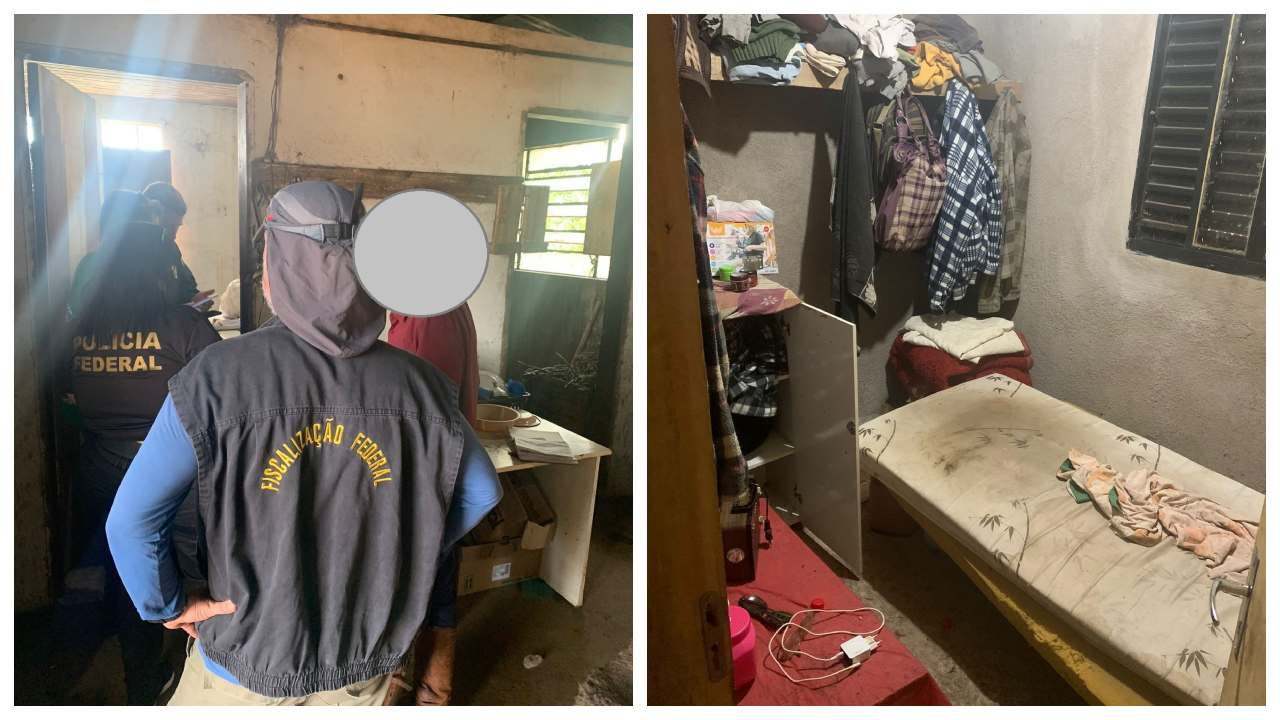 Operação resgata trabalhador idoso em situação análoga à escravidão em Santana do Livramento 1 Studio Notícias | Studio TV Operação resgata trabalhador idoso em situação análoga à escravidão em Santana do Livramento