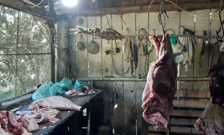 Studio Notícias | Studio TV Operação do Programa Segurança Alimentar apreende 816 kg de alimentos impróprios para consumo em Barão