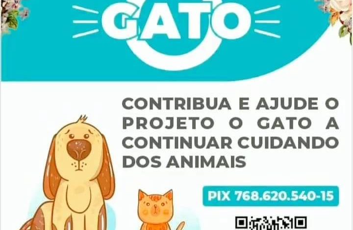 Studio Notícias | Studio TV Arraiá do Projeto 'O Gato' acontece neste sábado (10) em Veranópolis