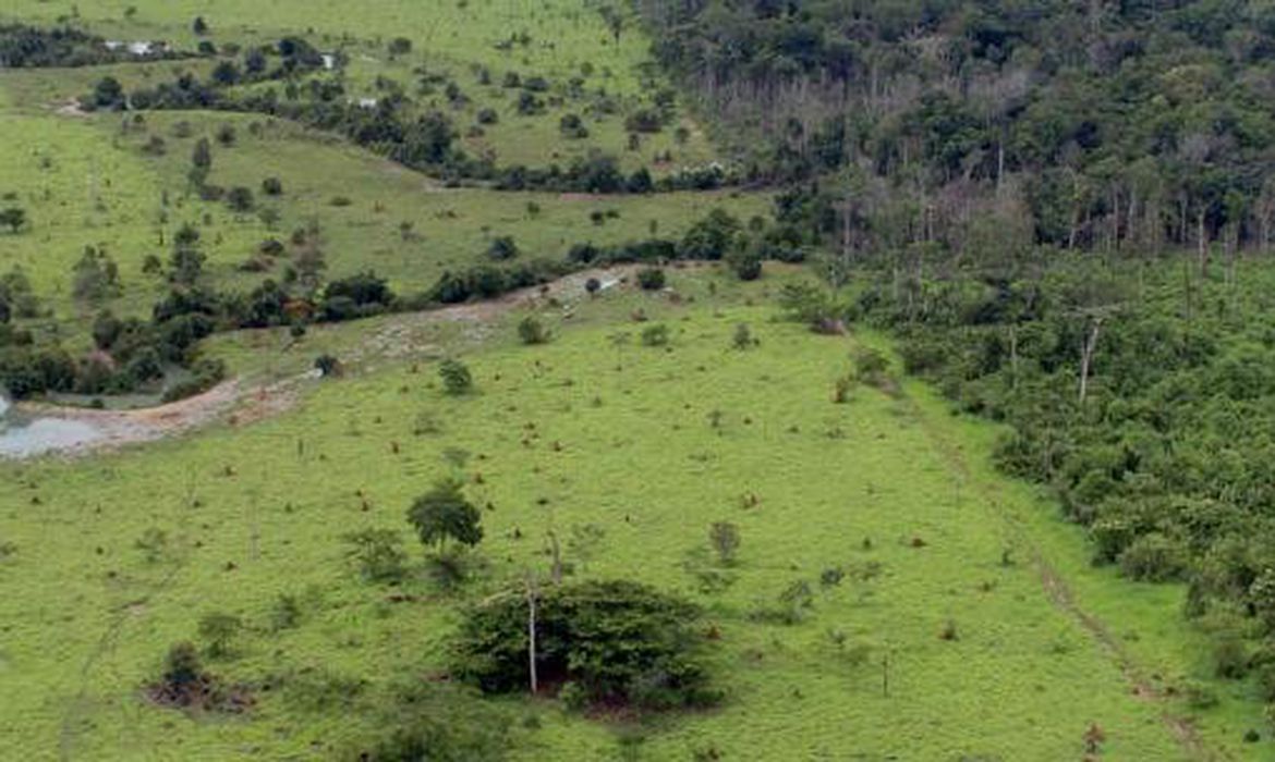 BB aceitará crédito de carbono em leilão de imóveis rurais 1 Studio Notícias | Studio TV BB aceitará crédito de carbono em leilão de imóveis rurais