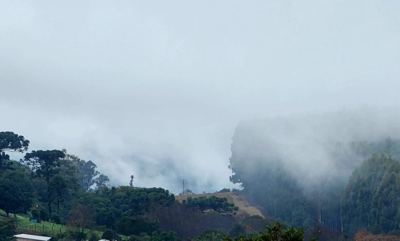 Studio Notícias | Studio TV Frio intenso surpreende o Rio Grande do Sul com mínimas próximas de 1ºC