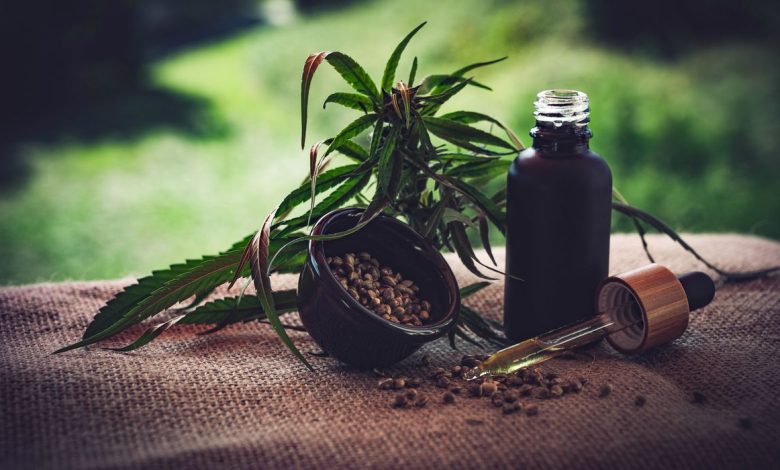 Studio Notícias | Studio TV STJ autoriza três pacientes a cultivarem cannabis para fins medicinais