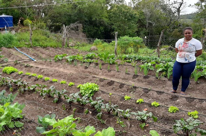 Studio Notícias | Studio TV Sancionada lei que torna Canguçu (RS) Capital Nacional da Agricultura Familiar