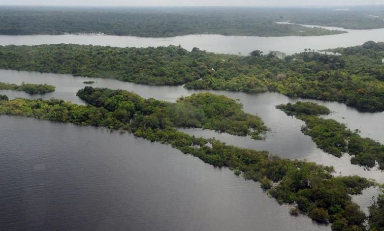 Studio Notícias | Studio TV Indígena diz que é preciso entender olhar de comunidades amazônicas