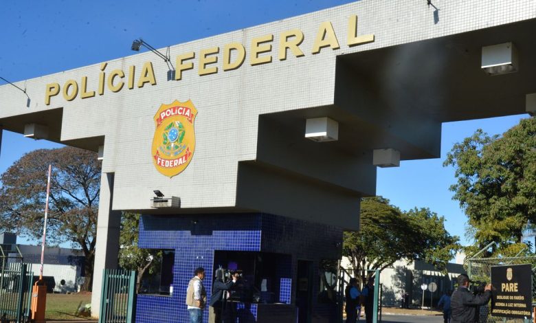 Studio Notícias | Studio TV PF investiga grupo que usava Correios para traficar animais