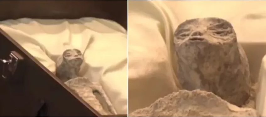 Cientistas apresentam supostos cadáveres de alienígenas a autoridades mexicanas 1 Studio Notícias | Studio TV Cientistas apresentam supostos cadáveres de alienígenas a autoridades mexicanas