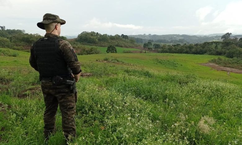 Studio Notícias | Studio TV 3º Batalhão Ambiental da Brigada Militar flagra destruição de vegetação nativa em Campestre da Serra