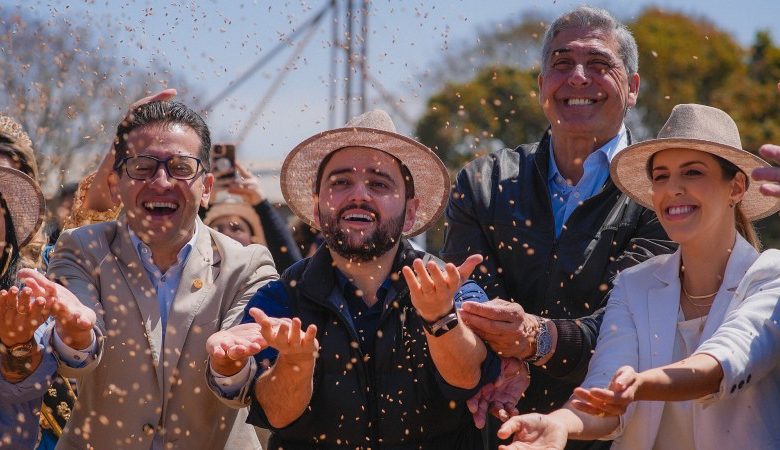 Studio Notícias | Studio TV Colheita do trigo é oficialmente aberta em Cruz Alta