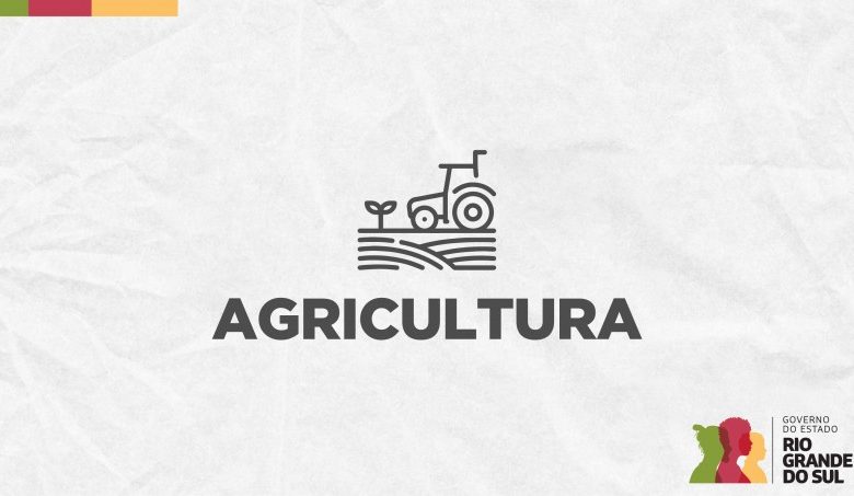 Studio Notícias | Studio TV Estado apresenta balanço de ações de enfrentamento à gripe aviária para Câmara Setorial das Aves
