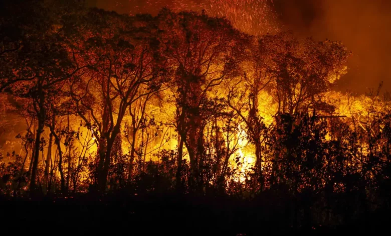Studio Notícias | Studio TV Pantanal tem mais de 3 mil incêndios em novembro; recorde histórico