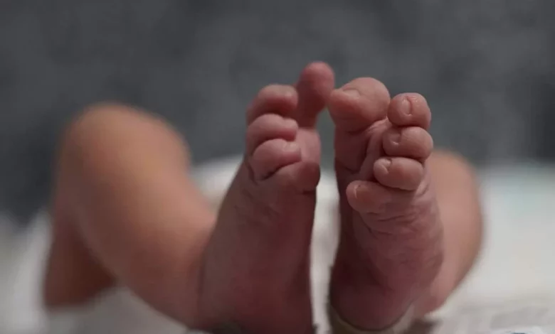 Studio Notícias | Studio TV Bebê de oito meses morre após engasgo em creche de Santo Ângelo