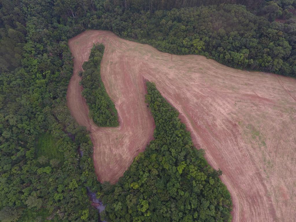 3º Batalhão Ambiental da Brigada Militar flagra desmatamento em Barão de Cotegipe 1 Studio Notícias | Studio TV 3º Batalhão Ambiental da Brigada Militar flagra desmatamento em Barão de Cotegipe