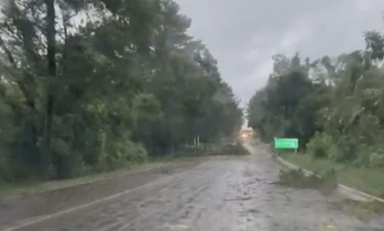 Studio Notícias | Studio TV Muitas árvores caídas na BR-470 e falta de energia elétrica em diversos pontos de Veranópolis