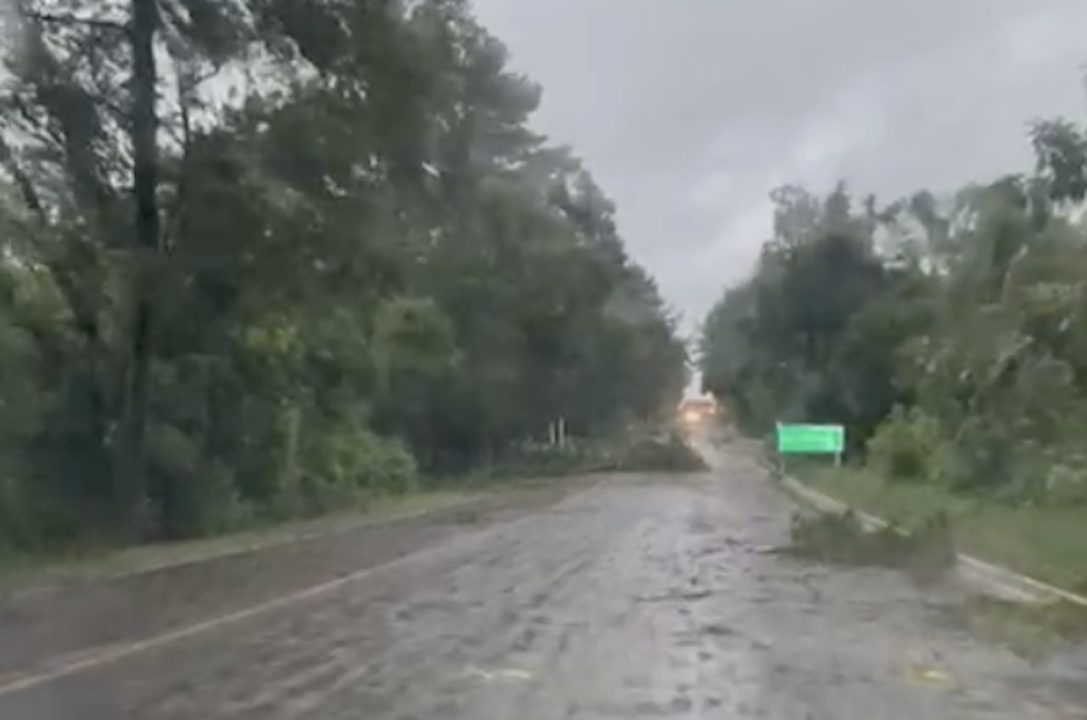 Muitas árvores caídas na BR-470 e falta de energia elétrica em diversos pontos de Veranópolis 1 Studio Notícias | Studio TV Muitas árvores caídas na BR-470 e falta de energia elétrica em diversos pontos de Veranópolis