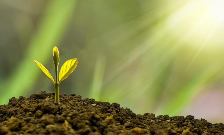 Studio Notícias | Studio TV Câmara Temática de Agrocarbono Sustentável começa em março