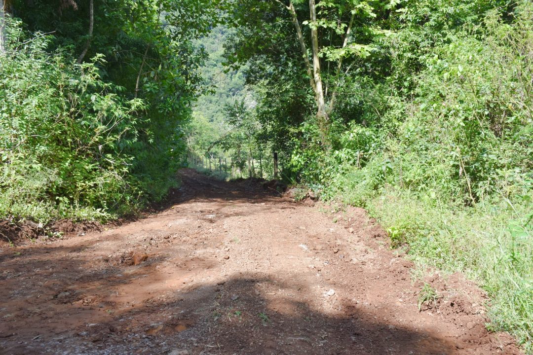 Terraplanagem é realiza na Estrada da Coréia, em Vila Azul 1 Studio Notícias | Studio TV Terraplanagem é realiza na Estrada da Coréia, em Vila Azul