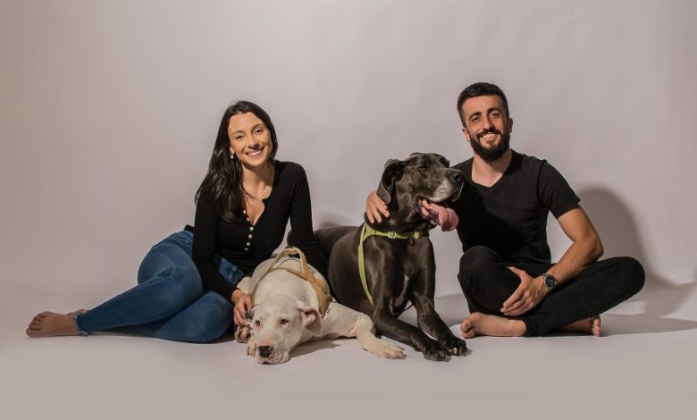 Studio Notícias | Studio TV A bordo de um motorhome, casal da Serra Gaúcha fará viagem até à Patagônia com seus dois dogues alemães