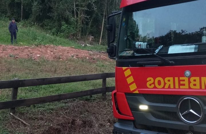 Studio Notícias | Studio TV Ataque de abelhas deixa três pessoas feridas e um cavalo morto no interior de Venâncio Aires
