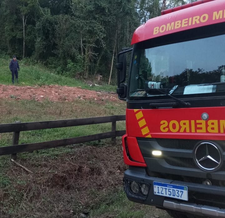 Ataque de abelhas deixa três pessoas feridas e um cavalo morto no interior de Venâncio Aires 1 Studio Notícias | Studio TV Ataque de abelhas deixa três pessoas feridas e um cavalo morto no interior de Venâncio Aires