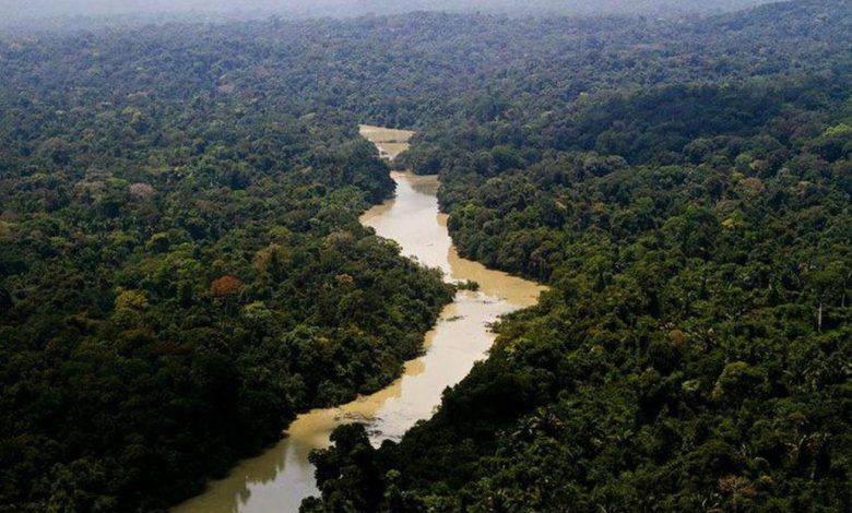 Studio Notícias | Studio TV Mudanças climáticas já interferem em secas e cheias na Amazônia