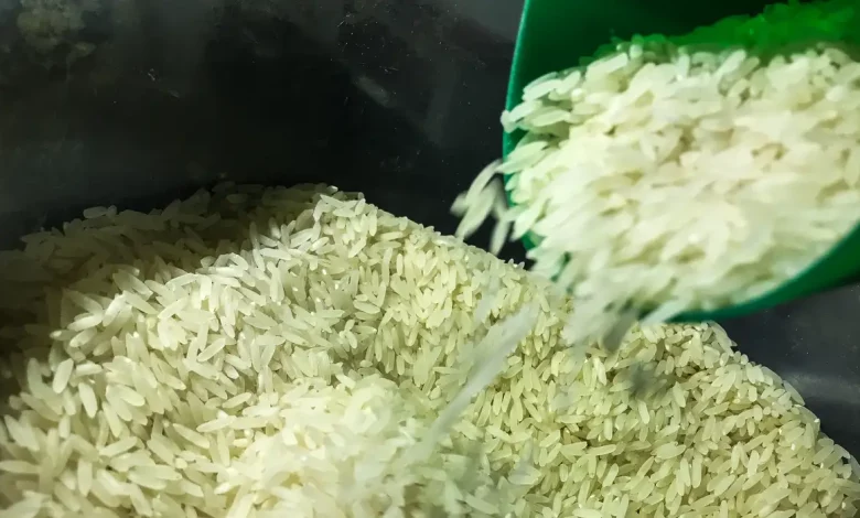Studio Notícias | Studio TV Governo autoriza compra de 1 milhão de toneladas de arroz
