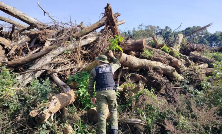 Studio Notícias | Studio TV Brigada Militar flagra 74.000 metros quadrados de destruição de vegetação nativa em Gentil