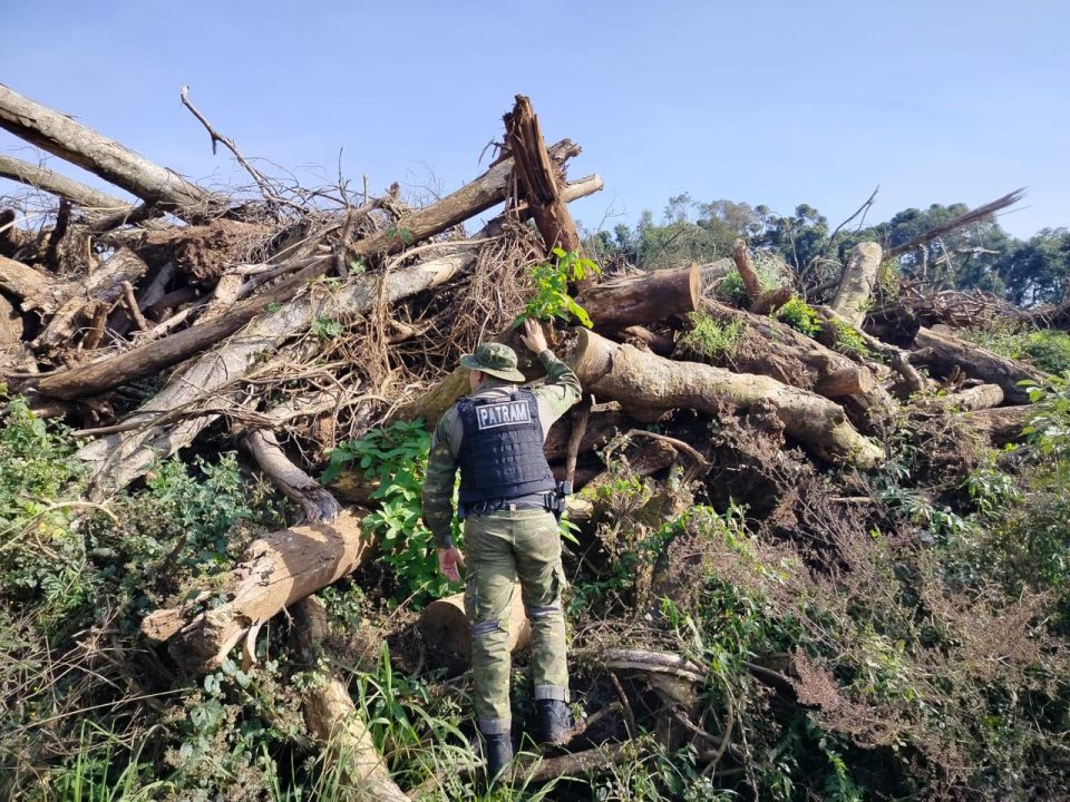 Brigada Militar flagra 74.000 metros quadrados de destruição de vegetação nativa em Gentil 1 Studio Notícias | Studio TV Brigada Militar flagra 74.000 metros quadrados de destruição de vegetação nativa em Gentil